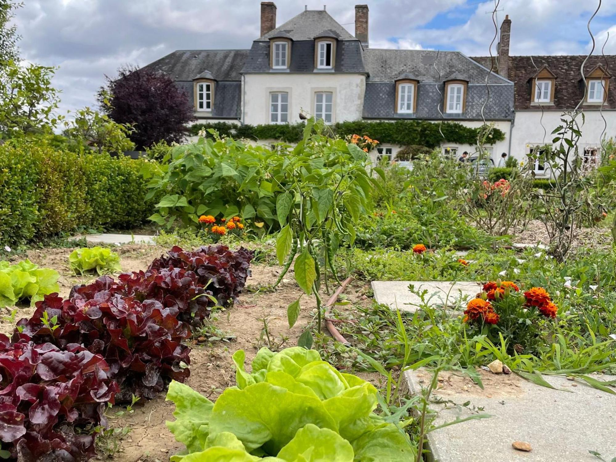 Paucourt Maison De Famille Pres De Montargis - Elegance Et Confort En Foret - Fr-1-590-354 מראה חיצוני תמונה